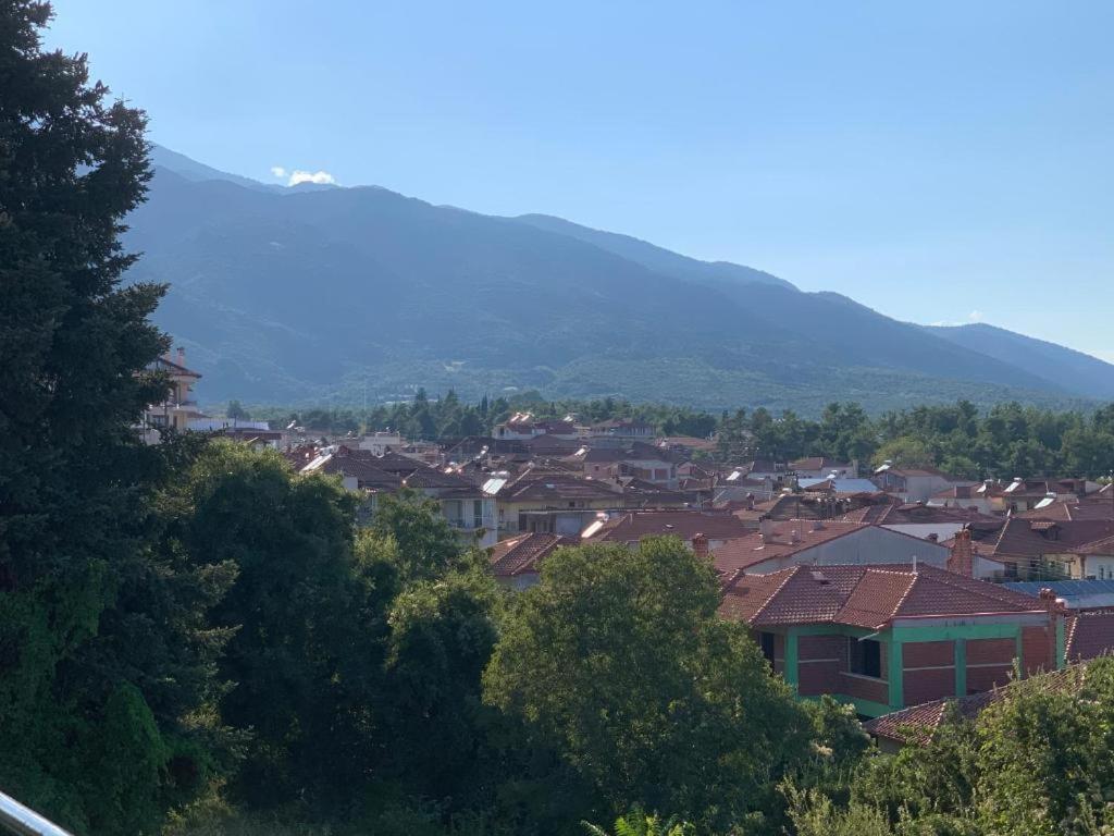 Rodon Apartment With Great View, Sauna And Jacuzzi Litóchoron Bilik gambar